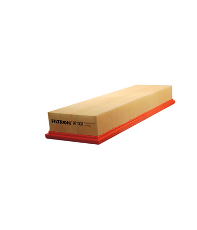 AP007 FILTRON