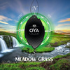 K2 OYA MEADOW GRASS