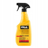 ERLA SANIZ SHINE
