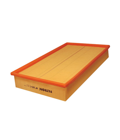 AP165/1 FILTRON