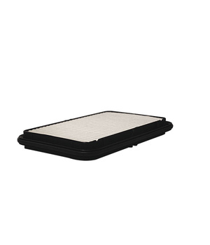 AP176/2 FILTRON