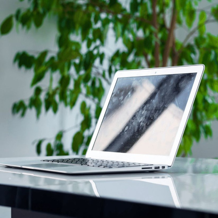 ERLA LCD CLEANER